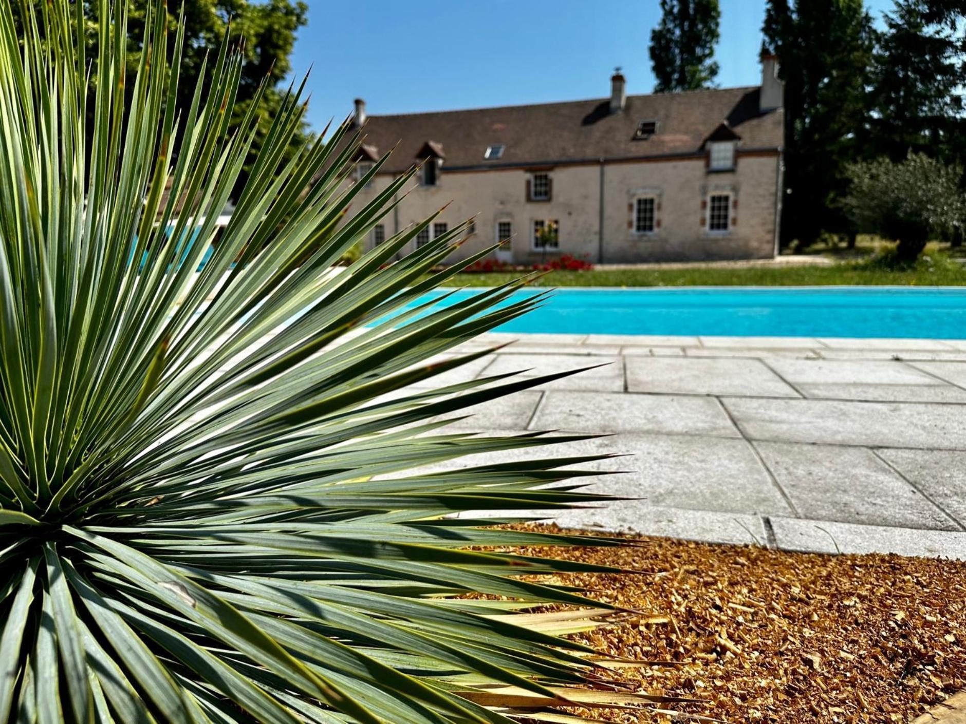 Domaine De Couilleuse Hotel Saint-Laurent-Nouan Bagian luar foto