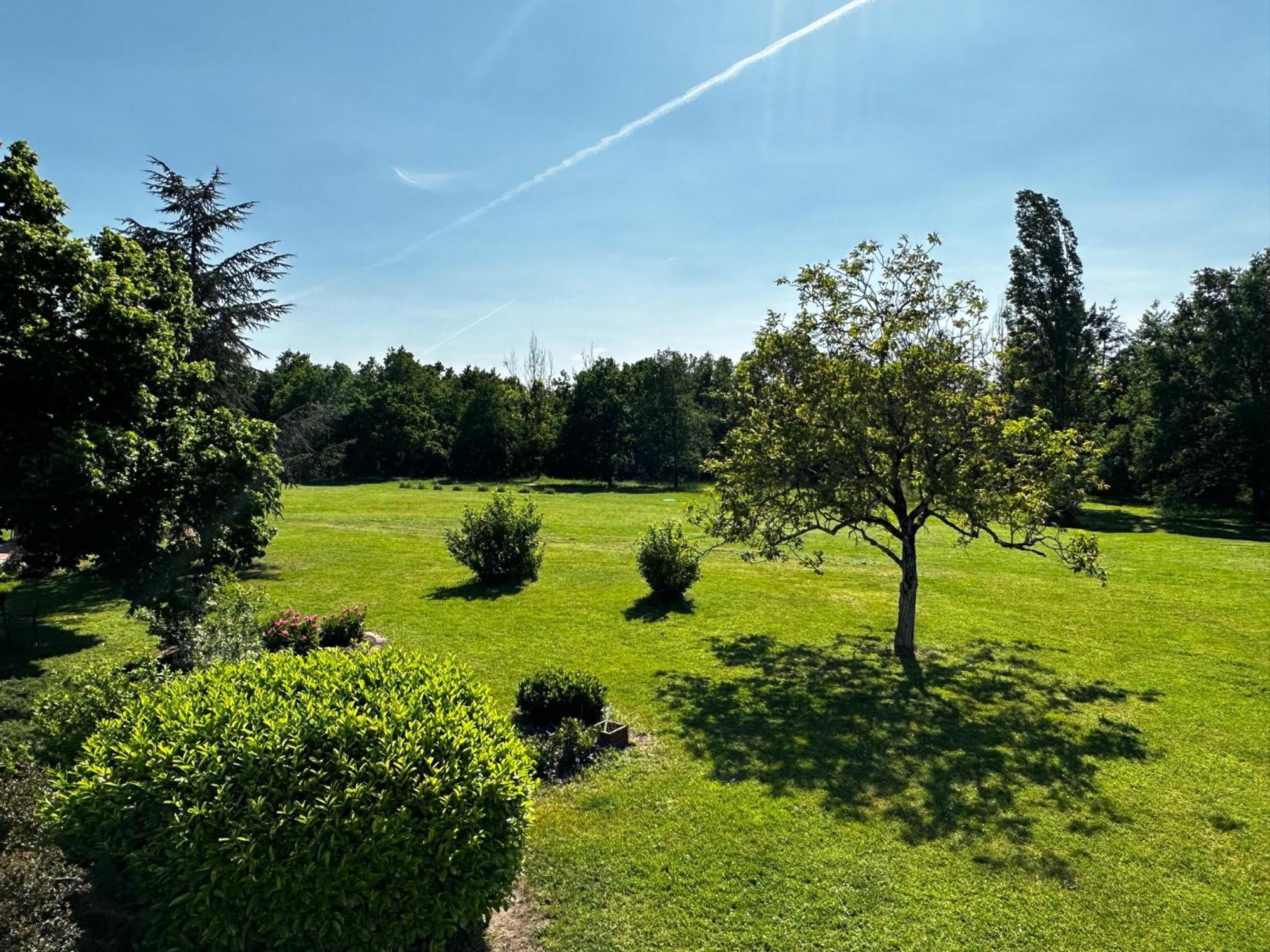 Domaine De Couilleuse Hotel Saint-Laurent-Nouan Bagian luar foto